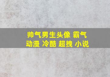 帅气男生头像 霸气 动漫 冷酷 超拽 小说